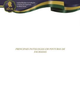 PRINCIPAIS PATOLOGIAS EM PINTURAS DE FACHADAS
