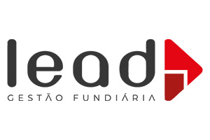 LEAD CONSULTORES