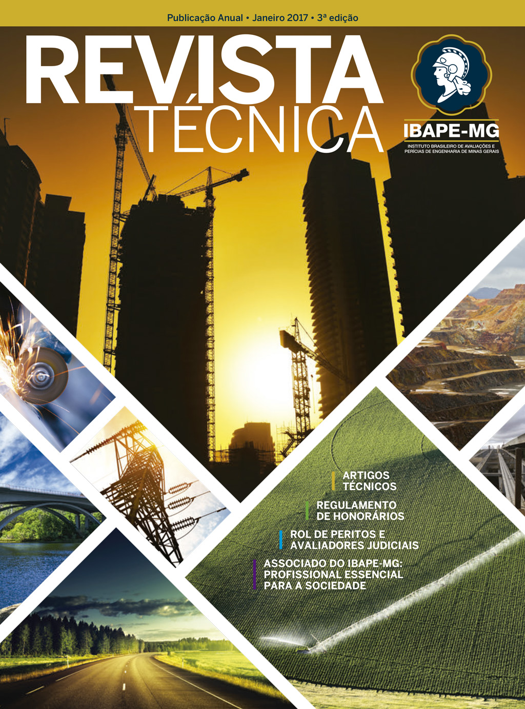 Revista Técnica IBAPE-MG 2017